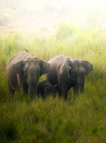 Bangalore taxi service from Mysore - Travels in Mysore to Bangalore