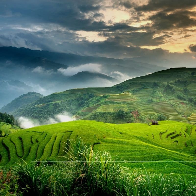 Coorg taxi service from Mysore - Travels in Mysore to Coorg